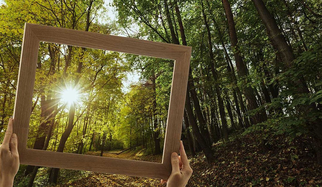 Evento outdoor contemporaneo